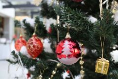 IMG_2351_result
